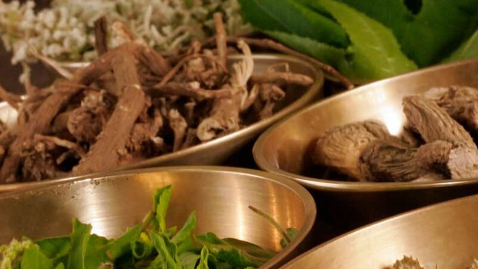 'Misleading claim will attract...': Ayush ministry warns ayurvedic drug makers