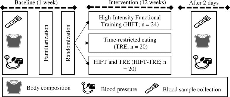 Time-restricted eating schedule and high-intensity exercise