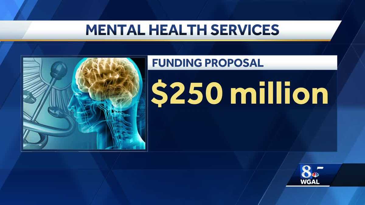 'Collapse point': County leaders call on state to improve mental health system