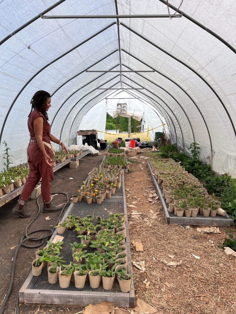 Plant the seeds for a care farm to help people with mental health needs